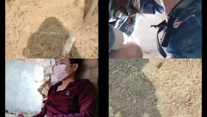 漂亮骚情美女主播勾引了一个小哥去户外找个地方啪啪啪现场找玉米杆当床铺很刺激