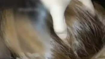 【精品福利】时尚性感的黑丝短裙美女地下停车场取车时被尾随的色狼趁机按在车里威胁啪啪